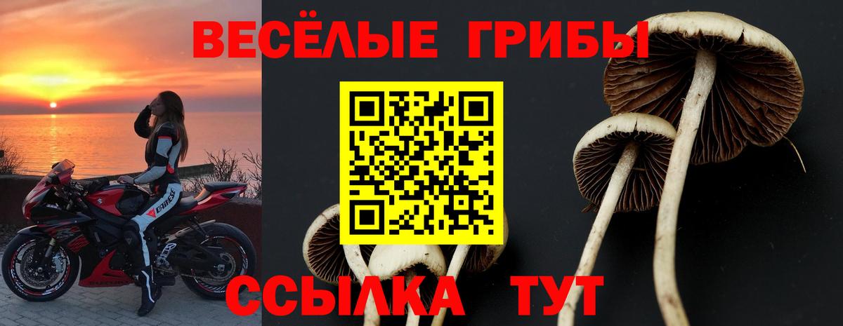 Псилоцибиновые грибы Cubensis  Вход с VPN  Галлюциногенные грибы Cubensis  Орёл 